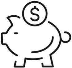 Borrower Insurance